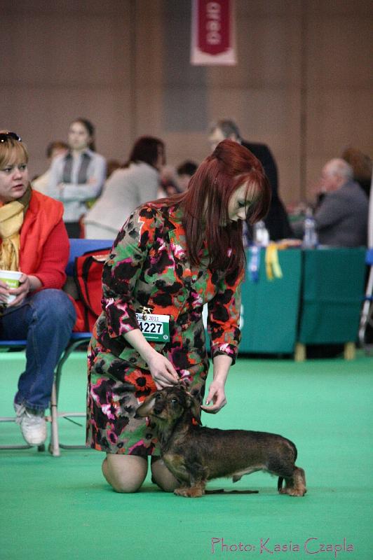 Crufts2011_2 840.jpg